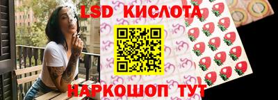 индика Беслан