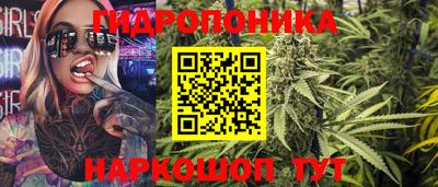 индика Беслан